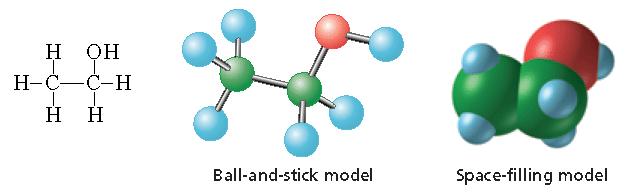 Section 1 Organic ompounds Structural Formulas, continued Structural formulas do not accurately show the threedimensional shape of molecules.