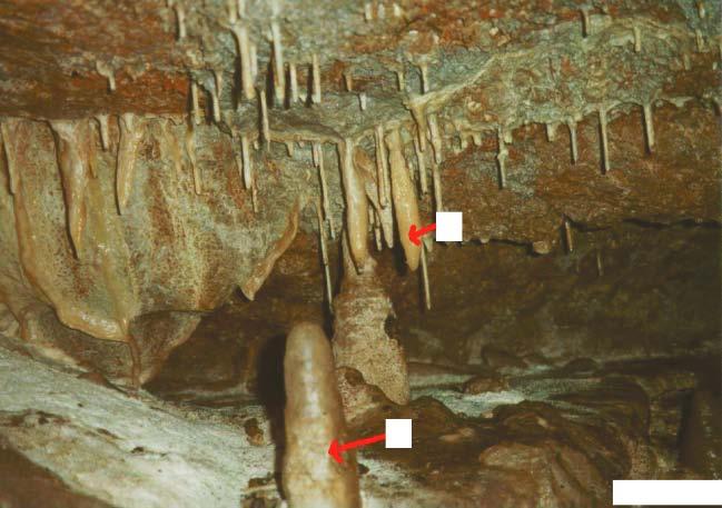 44 LESS STRESS MORE SUCCESS Practice exam questions 1. An Irish cave Examine the photograph of a cave in Ireland.