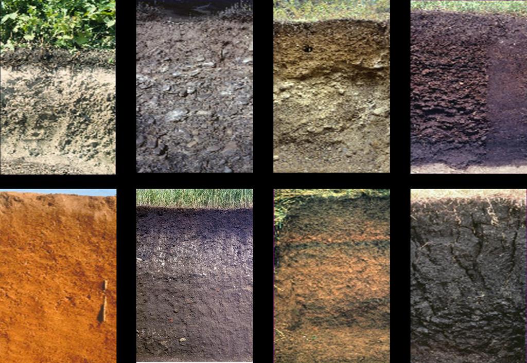 Why are soils