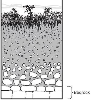 Quick Questions 1. The cross section below shows a soil profile. This soil was formed primarily by a. Erosion by running water over a relatively long period of time. b. Weathering and biological activity over a relatively long period of time.