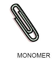 Model 7: Polymerization Using the paperclips to represent monomers, make a chain of 20 paperclips. Key Questions: 1.