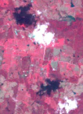 5.1. Image Segmentation The 2008 Landsat scenes were segmented into spectrally consistent classification units (SCCU) prior to classification to reduce spectral mixing of target land cover classes