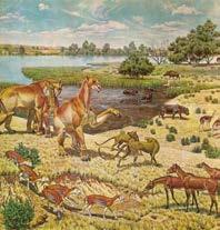 Dinosaurs of Mesozoic Era