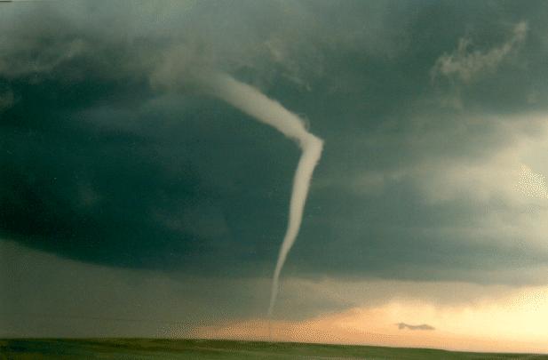 Tornadoes forecasting, dynamics and genesis