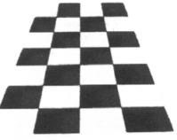 This divine eagle with two heads facing away from each is linked into the meaning of the black and white floor in all masonic lodges - see below Black and white floor ".