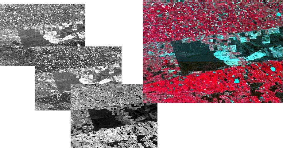 Multi spectral bands Landsat