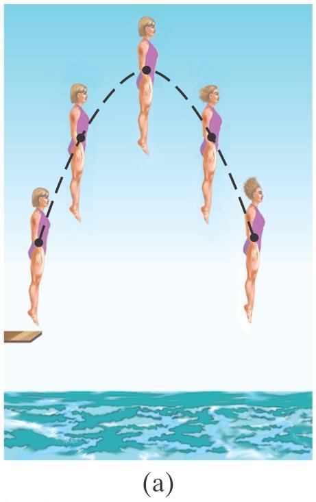 Center of Mass (CM) In (a), the diver s motion is pure