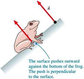 perpendicular to the surface of the