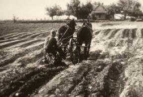 history of agricultural 1949
