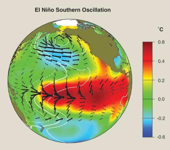 Zonal Winds Introduction -On Normal conditions the zonal winds are westward (i.e. blow from east to west) in the equatorial Pacific.