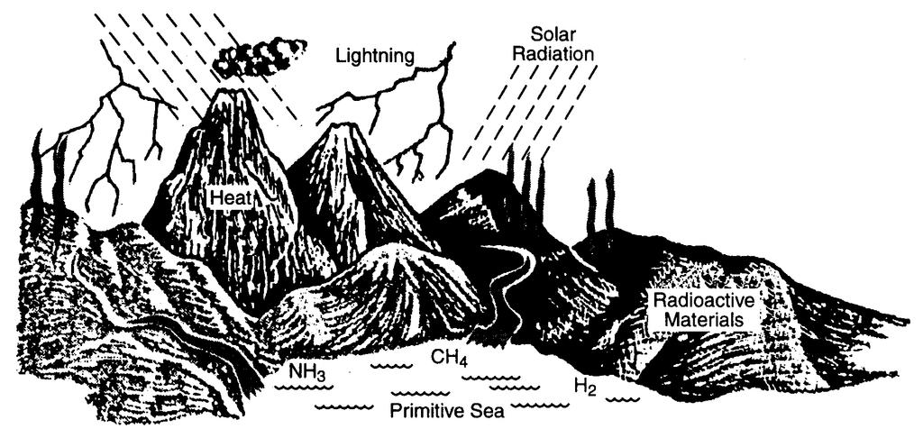 21. According to some scientists, what resulted from the environmental conditions existing on primitive Earth illustrated below? 22.
