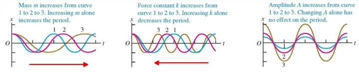 Harmonic oscillation: Forces Harmonic oscillation: Frequency Spring at rest: Newton s second law: Note: f and T depends only on k and m but not on the amplitude!