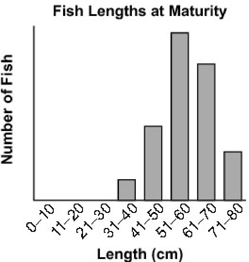 17. The graph shows the length distribution at maturity for a population of fish.