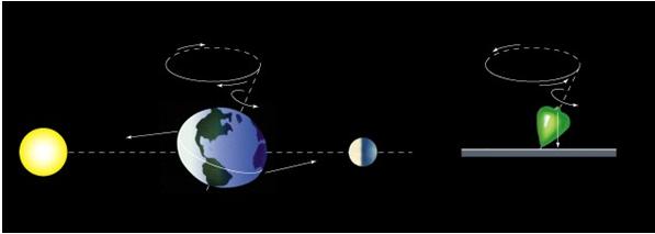 Precession is due to the pull of the Sun and the Moon s gravity on the bulge of the Earth!