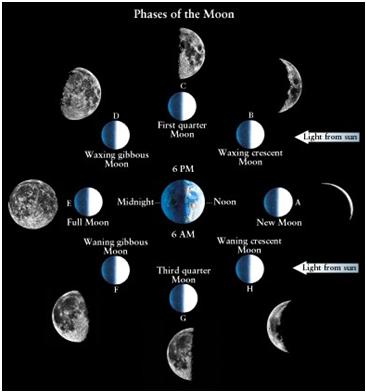 As the Moon moves around the Earth the Sun- Earth-Moon Angle changes As the moon moves around the Earth, this angle changes causing us to see