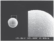 Inertsil SIL-00A Physical Properties Silica : Series High Purity Silica Gel : μm, 5 μm Surface Area : 50 m /g Pore Size : 00 Å (0 nm) Pore Volume :.