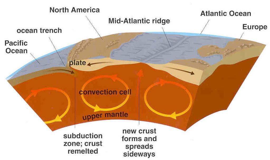 Shaping Planet Surfaces (cont) Tectonics: the disruption of a