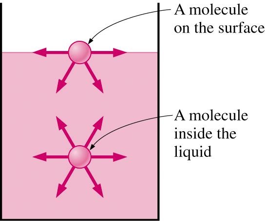 Surface tension: molecular origins Liquid molecules experience attractive forces from other liquid molecules Molecule in the interior of liquid experiences forces from all directions symmetric in