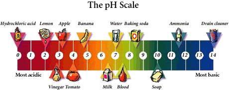 The ph Scale The ph scale is a measurement system used to indicate the