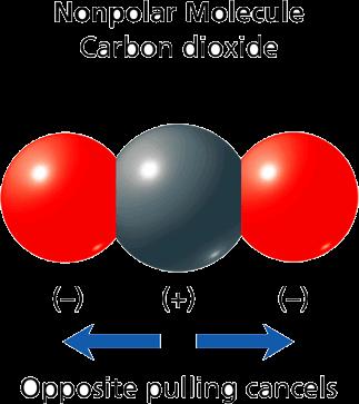 A carbon dioxide molecule