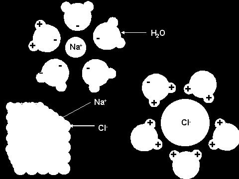 sodium are all soluble since they are polar Because of hydrogen bonds!