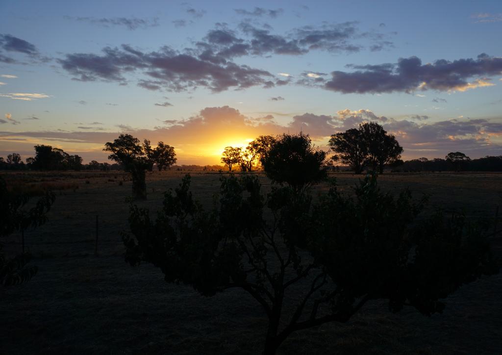 Sunset at Euroa, Victoria Photo Mai Thai CONTENTS 3 Summary and forecasts 4 Planting conditions 5 Climate outlook 6 Appendix I: Methodology 8 Appendix II: Monthly rainfall in wheat regions CONTACTS