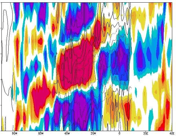 Zonal Surface Wind Anomalies Induced by Convective Coupled Kelvin Waves
