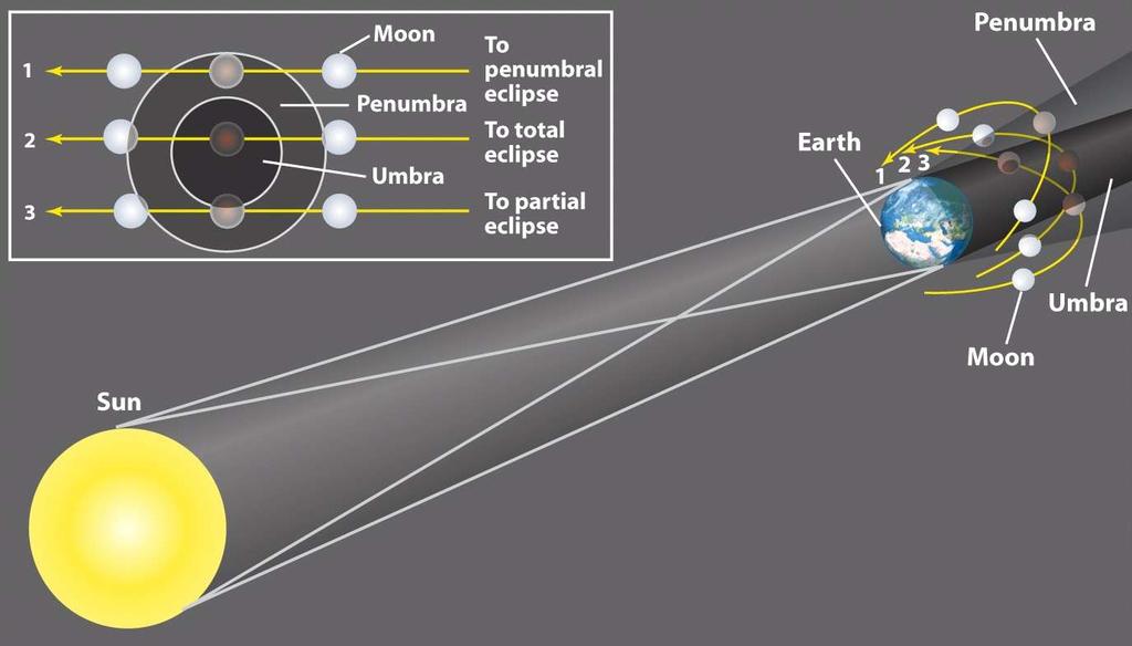Lunar eclipses can be either total, partial, or