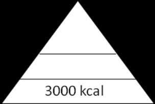 The diagram below shows an energy pyramid.