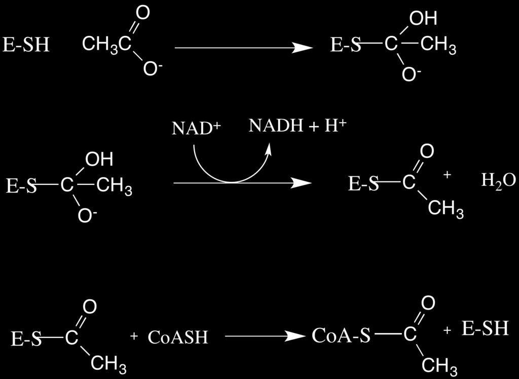 Quick Example Aldehyde Dehydrogenase Acealdehyde + NAD + + CoA è NADH + AcCoA + H + As we will see, he kineic mechanism is i Uni Uni Uni Ping Pong (ing ang walla walla bing bang) Vary acealdehyde a