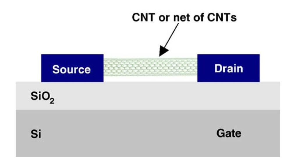 Carbon Nanotube Field Effect Transistor - Electrical properties of CNT : sensitive to the effects of charge transfer and