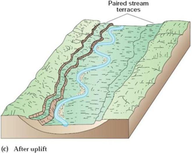 Stream Rejuvenation Tectonic Uplift Increased gradient
