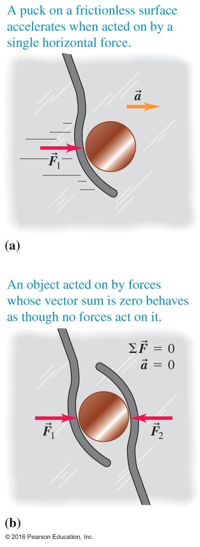 We Determine Effect with the Net Force Figure 4.