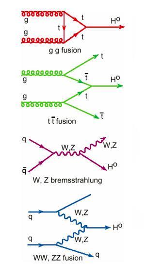 Higgs Boson Production at LHC Yukawa coupling