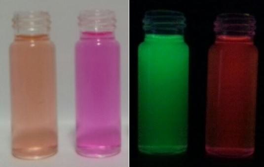 + Au(III) (left), BOD-ZN (right), (b) fluoresccence