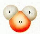 partial- partial+ partial+ Water is a polar molecule.