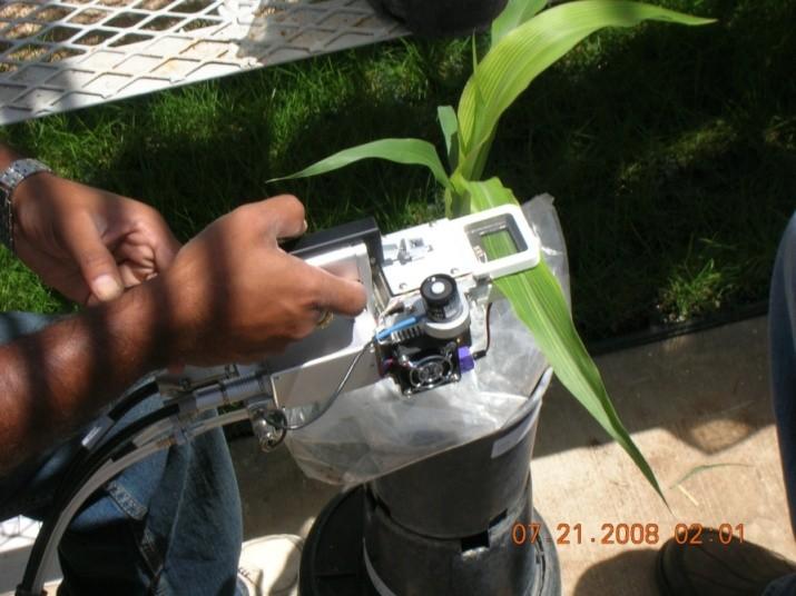 13 Figure 2.1. Measurement of the transpiration efficiency traits on the topmost fully opened sorghum leaf using the LI-COR 6400 Infrared Gas Analyzer. 2.2.2 Statistical Analysis Genotype effect on A, E, and A:E was analyzed with ANOVA from the GLM procedure of SYSTAT 10.