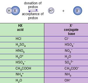 Conjugate Acid-Base Pairs 7 Conjugate Base - The species remaining after an acid has
