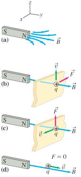Magnetic Force on a