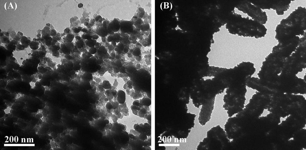 Pd-Au nanoparticles, (C) The photo of wild type (left) and ΔomcA/mtrC mutant (right) after Pd-Au reduction, (D) The recovery rate of Pd and Au after biosynthesis of Pd-Au nanoparticles between