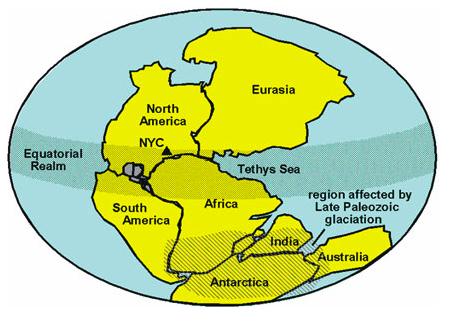 12/7/16 And then there were two Pangaea originally broke into two large land