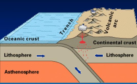 When oceanic plates collide with a less dense continental plates, the more dense plate slides under (subducts) the less dense