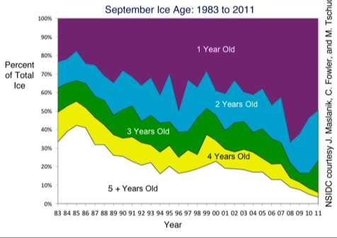 Arctic sea ice: