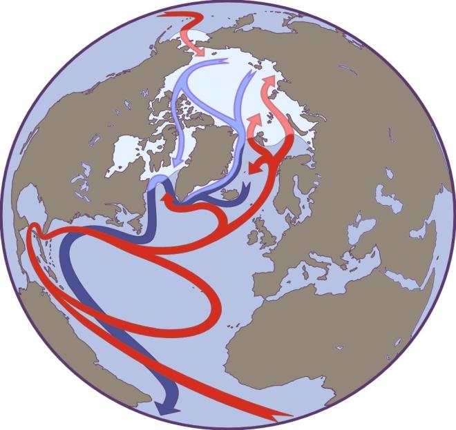 OCEAN CIRCULATION The general oceanic circulation is schematically described by the