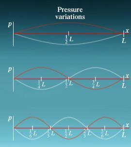 Lecture 14 17/38 Phys 220 Standing Waves in Pipes Open at both ends: Pressure node at end =