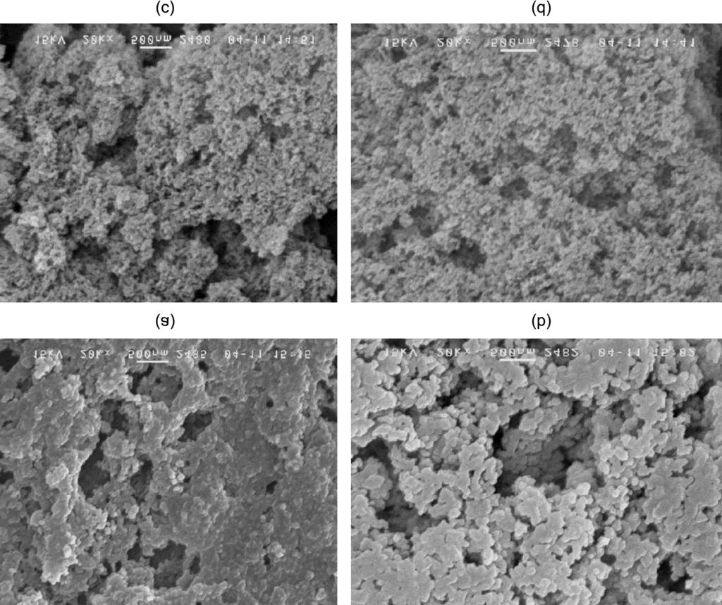 SiO 77 2 Fig. 3. SEM micrographs of silica particles with reaction time (a) 4 hr, (b) 10 hr (c) 24 hr and (d) 48 hr. % ñ ½ [. ú, Rä! ûg aj x @! R W!ìIHH \ s, OH! % ½@! [V ³ ª ü TEOS% ) ýþ[v ª Úý @!
