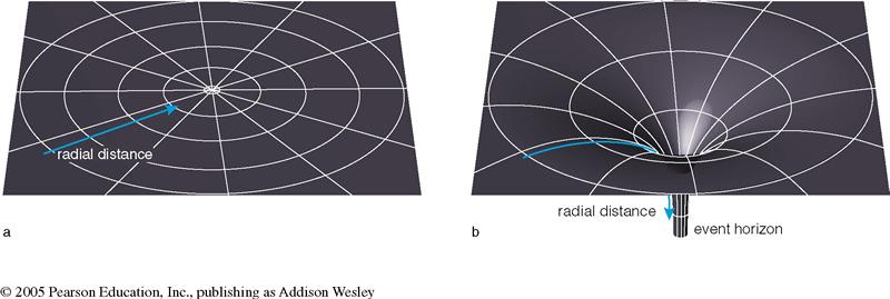 Warping of Space by Gravity Gravity curves space.