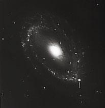 Supernova in the galaxy NGC