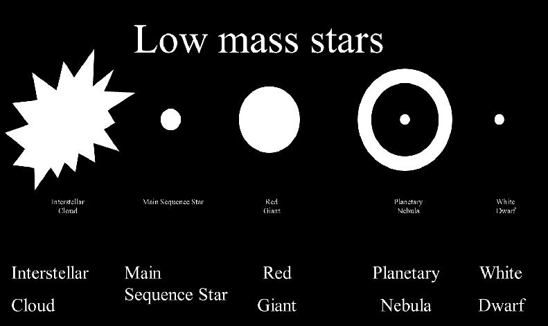 What have we learned? How is the Luminosity of a star related to its temperature and size?
