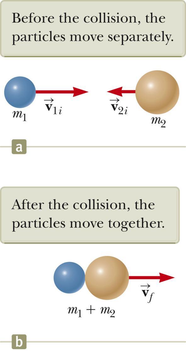 Perfectly Inelastic Collisions Momentum of an isolated system is conserved in any collision, so the total momentum before the collision is equal to the total momentum